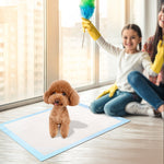 Small dog standing on a training pad indoors while a family cleans the room
