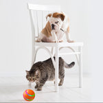 Dog and cat playing with an automatic self-rolling cat ball toy
