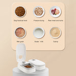 PETXIMA 2-in-1 gravity pet feeder and water dispenser for dogs and cats