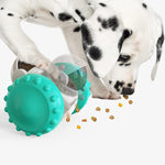 PETXIMA interactive slow feeder toy dispensing treats for a dog